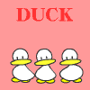 Duck@Ђ